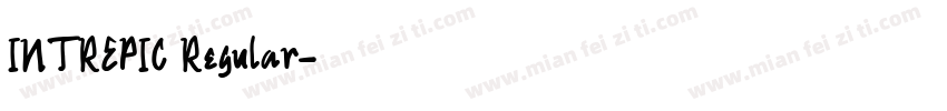 INTREPIC Regular字体转换